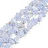 Natural Blue Lace Agate Chip Beads Strands G-E271-73-A-1