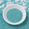 MIYUKI Delica Beads SEED-JP0008-DB0878-2