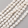 Natural Cultured Freshwater Pearl Beads Strands PEAR-G007-22-1