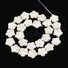 Plating Natural Freshwater Shell Beads Strands SHEL-N026-232-2