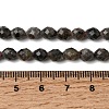 Natural Syenite Beads Strands G-K376-F09-01-5