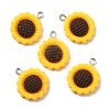 Resin Pendants X-RESI-C002-27-1