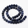 Natural Sodalite Beads Strands X-G-D682-8mm-2