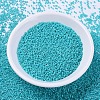 MIYUKI Delica Beads LS-X-SEED-J020-DB0658-2