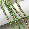 Dyed Natural Regalite/Imperial Jasper/Sea Sediment Jasper Beads Strands G-B124-C05-08-5