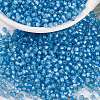 MIYUKI Round Rocailles Beads X-SEED-G008-RR0573-1