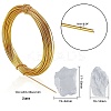 DIY Wire Wrapped Jewelry Making Kits DIY-PH0028-12-2