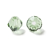 Transparent Glass Beads GGLA-Z004-05S-2