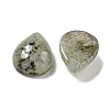 Natural Labradorite Cabochons G-Q173-02C-07-2