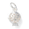 925 Sterling Silver Hollow Fish Charms with Jump Rings LS-STER-E071-01S-03-1