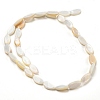 Natural Freshwater Shell Beads Strands BSHE-Z005-05-2