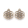 Tibetan Style Flower Alloy Pendants TIBEP-R345-38AB-NR-2