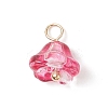 Electroplate Glass Pendant PALLOY-TA00009-2