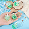 Transparent Resin Big Pendants RESI-TAC0019-04A-5