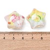Transparent Resin Beads RESI-C073-13-3