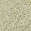 TOHO 11/0 Round Beads LS-X-SEED-TR11-PF0558-2