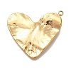 Ion Plating(IP) 304 Stainless Steel Pendants STAS-P371-031G-1