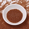 MIYUKI Delica Beads X-SEED-J020-DB0777-3