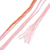 10 Skeins 6-Ply Polyester Embroidery Floss OCOR-K006-A31-3