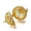 Rack Plating Brass Micro Pave Cubic Zirconia Bead Cage Pendants KK-M313-12G-01-2