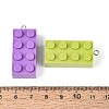 Opaque Plastic Pendants KY-T043-01M-5