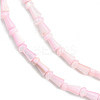 Natural Freshwater Shell Beads Strands SHEL-G013-02G-3