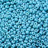 8/0 Baking Paint Glass Seed Beads SEED-M012-02A-46-3