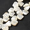 Natural White Shell Beads Strands SHEL-G014-15-2