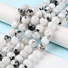 Natural Rainbow Moonstone Beads Strands G-Q1001-A05-03-4