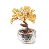 Natural Yellow Quartz Chips Tree of Life Decorations DJEW-Q010-01A-1