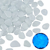 1 Set Resin Luminous Glow in the Dark Pebbles Stone DJEW-CN0001-40C-1