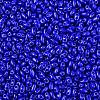 Baking Paint Glass Seed Beads SEED-T006-03-01-2