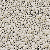MIYUKI Delica Beads X-SEED-J020-DB0883-3