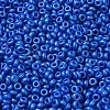 Baking Paint Glass Seed Beads SEED-P006-03A-25-3