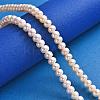Natural Cultured Freshwater Pearl Beads Strands PEAR-S002-6-7mm-3-5