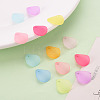 Transparent Frosted Acrylic Pendants X-MACR-S371-09A-6