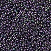 MIYUKI Round Rocailles Beads SEED-JP0008-RR2019-2