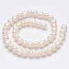 Natural Cultured Freshwater Pearl Beads Strands PEAR-R013-06-2