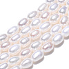 Natural Cultured Freshwater Pearl Beads Strands LS-PEAR-N012-04K-4