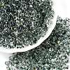 Spray Painted with Glitter Powder Glass Seed Beads SEED-T007-09C-3