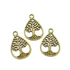 Tibetan Style Alloy Pendants PW-WG213DF-01-1