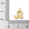 Ion Plating(IP) 304 Stainless Steel Micro Pave Cubic Zirconia Charms STAS-Z107-09G-09-3
