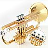 2 Set 2 Color ABS Trumpet Snap Clasps FIND-FH0003-17-5