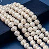Natural Cultured Freshwater Pearl Beads Strands X-PEAR-L001-G-14-4