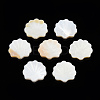 Natural Freshwater Shell Beads X-SHEL-T007-02-3