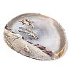 Printed Natural Agate Slice Stone Ornament DJEW-M011-03H-4