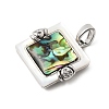 Brass Cubic Zirconia & Paua Shell Pendants KK-G553-01C-P-2