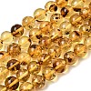 Natural Amber Beads Strands G-K376-H03-01-2