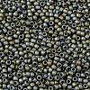 TOHO 8/0 Round Beads X-SEED-TR08-0613-2