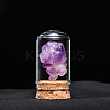 Natural Raw Amethyst Display Decoration G-PW0007-070F-1